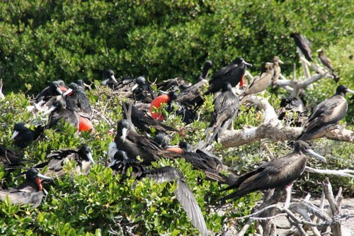 A very busy family © SW